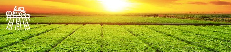 Banner do Serviço